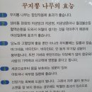 용포농장 | 금남면 맛집 용포식당 푸짐한 닭도리탕