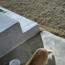 향미식육식당 이미지