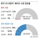 탈중국하고 오히려 대박나고 있는 한국산 배터리 이미지