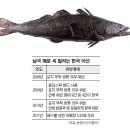 메로 이미지