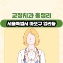 서울특별시 마포구 염리동 교정치과 총정리