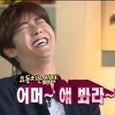 파이브로브즈