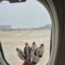 킨게임코리아 주식회사 | SPYAIR RE-BIRTH TOUR IN NAGOYA(๑•̀∀•́ฅ ✧