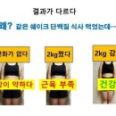 다함께 점핑점핑 이미지