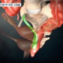 대항병원 이미지