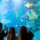 롯데월드아쿠아리움 이미지
