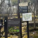 주식회사 미디어그룹사람과숲 | [경기광주] 4월중순 벚꽃 나들이 화담채, 화담숲, 모노레일 예약