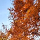 도덕산캠핑장 이미지