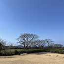오롬마르