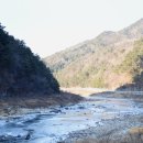 인제농협 본점 네이버블로그