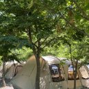 [괴산캠핑장 추천] 바로 앞 계곡과 최신 시설을 갖춘 '승암 159캠핑장' 솔직 후기