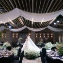 보코 서울 강남 이미지