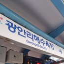 피크타임 부산 콘서트 첫 콘 기록_20230624