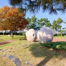 사천천 | 3개의 등대를 볼 수 있는 강릉 사천항 등대길, 사천카페 크림하우스 방문 후기