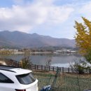 부흥생명약국 이미지