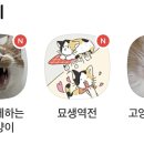 가인동물병원 이미지