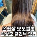 부산 온천장 미용실 | 모모쌀롱 손상모 클리닉 후기!