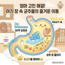 아이스365 | 아기 유산균 비교(드시모네, PH365, 바이오가이아) 및 드시모네 베이비스텝 1단계 내돈내산 후기