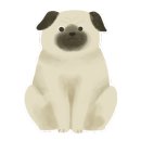 이레음악학원 이미지