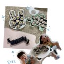 김밥장인 이미지