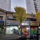 상사서로-11 이미지