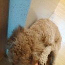 (주)천둥소리 이미지