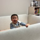 퍼니소프트 | 9개월 아기 놀이 장난감 모음 및 육아 일기 모음