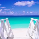 아름다움 이미지