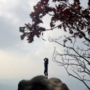 오들로 | 겨울등산복장 오들로 레이스베이어 테스킹 하이킹 후기!