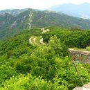 수정다방 이미지