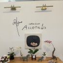 아첸투스(accentus) - 우동 | 아첸투스(accentus)