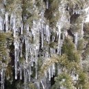 종근농장 이미지