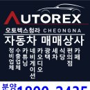 오토렉스 이미지