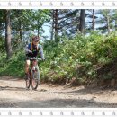 정선목장 이미지