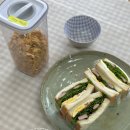 꽃향유 stay | [진안] 품안애stay, 심신 회복을 위한 촌캉스 진안 여행 숙소 추천