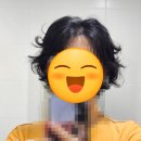 자유시간미용실 | 전주 객사 미용실 오아세헤어 여자 숏단발 숏펌 내돈내산 후기