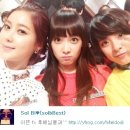 엠버 이미지