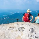 MZ 세대 '등산 아지트' 어디? 초짜도 거뜬한 서울 명산 4곳 이미지