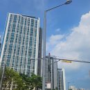 세교초교 사거리 이미지