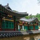 율풍 이미지