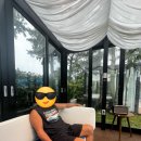 블룸호텔 | 제주 중문 블룸호텔 숙박 솔직후기(스위트호텔 수영장 이용 가능)