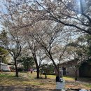 모구리야영장(일출봉영지) 이미지