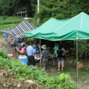 대석2리 상촌계곡 이미지