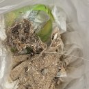 치워드림 | 서울 오피스텔 입주청소 치워드림 내돈내산 비추 후기