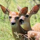 천호마스타 이미지