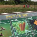 새매개천 연합뉴스