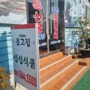 싱싱식품 - 구례군 5일시장큰길 11-1 | 여수 갓김치 포장 여행 중에 들린 옹고집싱싱식품 솔직 후기