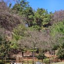 말매못근린공원 이미지