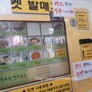 장모님멸치국수