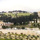 호산나2 이미지